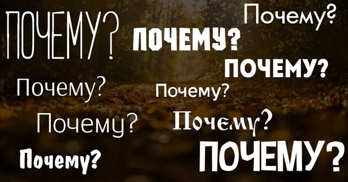 Авто ру вин не прошел проверку: разбираемся, что это значит