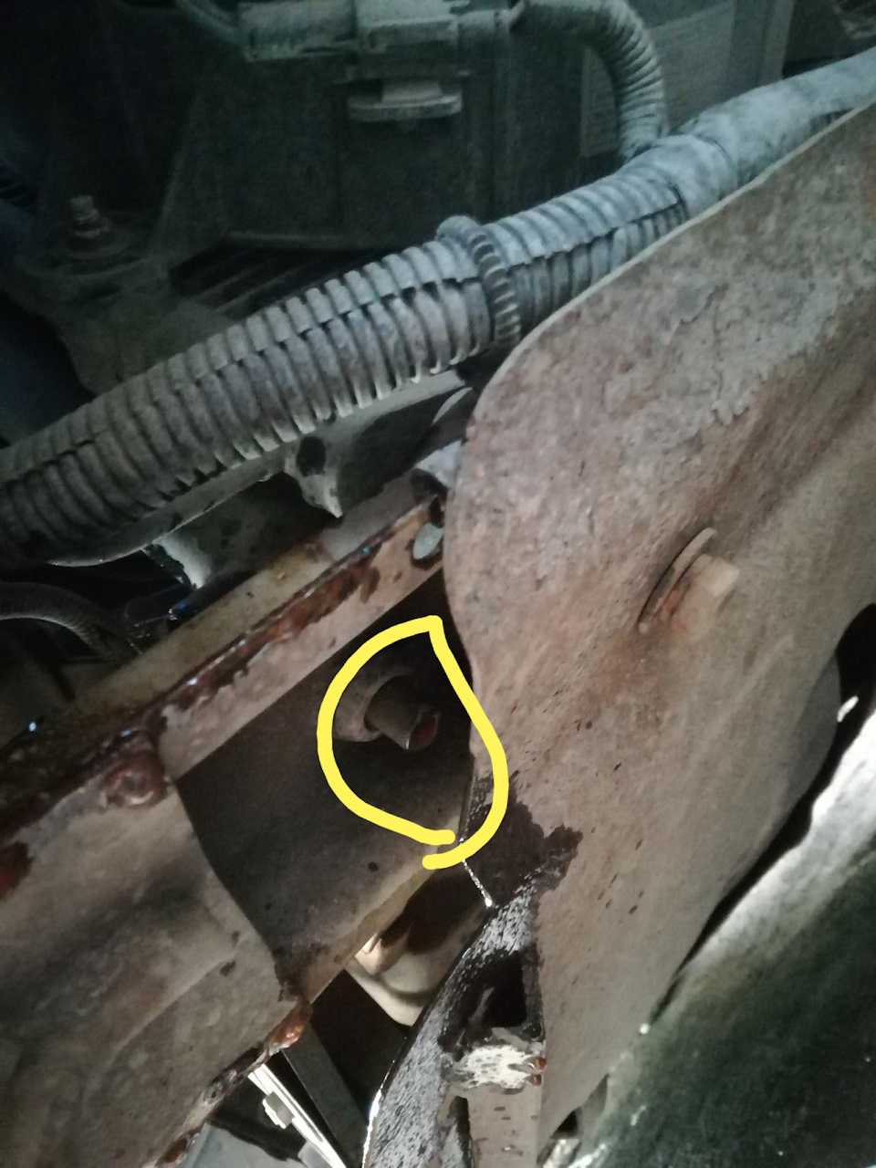 Замена охлаждающей жидкости daewoo nexia (дэу нексия) своими руками