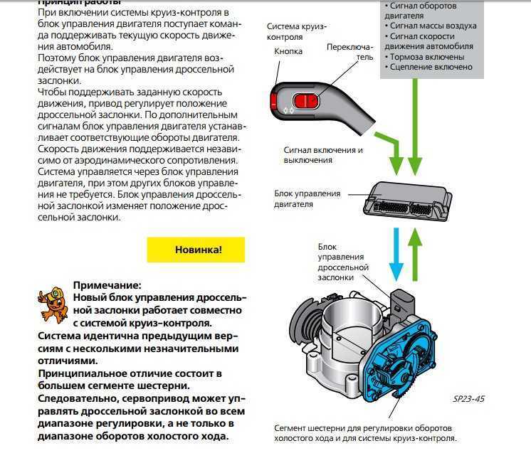 What does cruise main mean in a car? - drill and driver