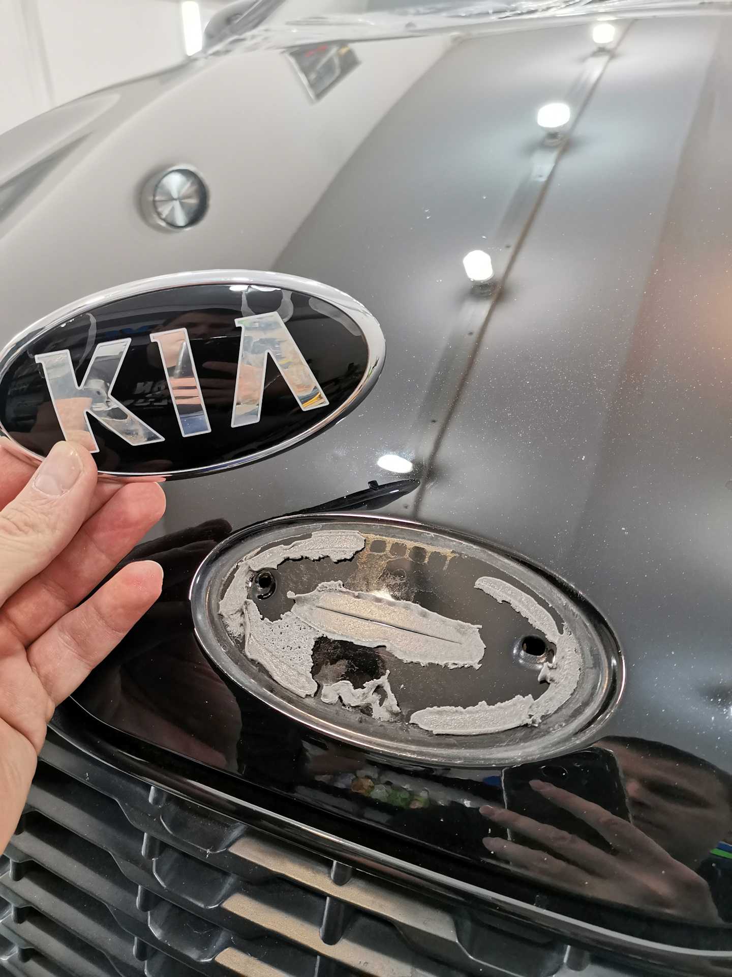 Как снять номер на ford focus 3 - top-geer.ru
