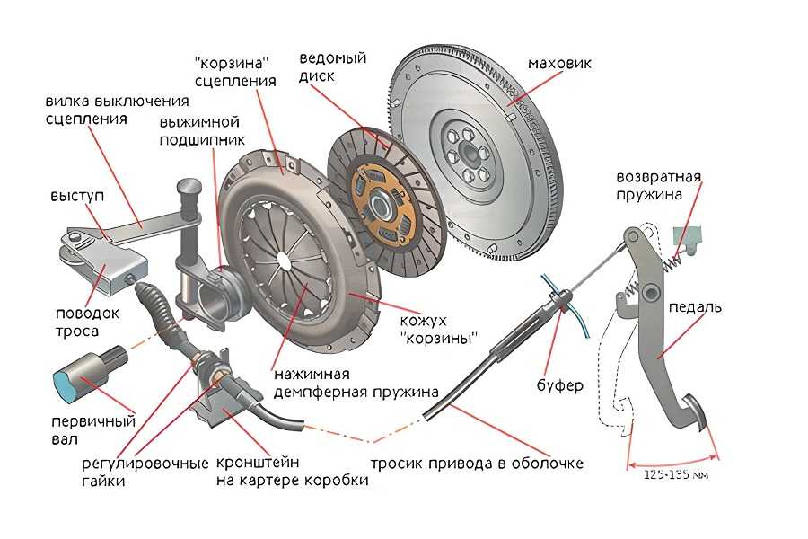 Понятие регулировки сцепления, инструкция процесса, подготовка и этапы