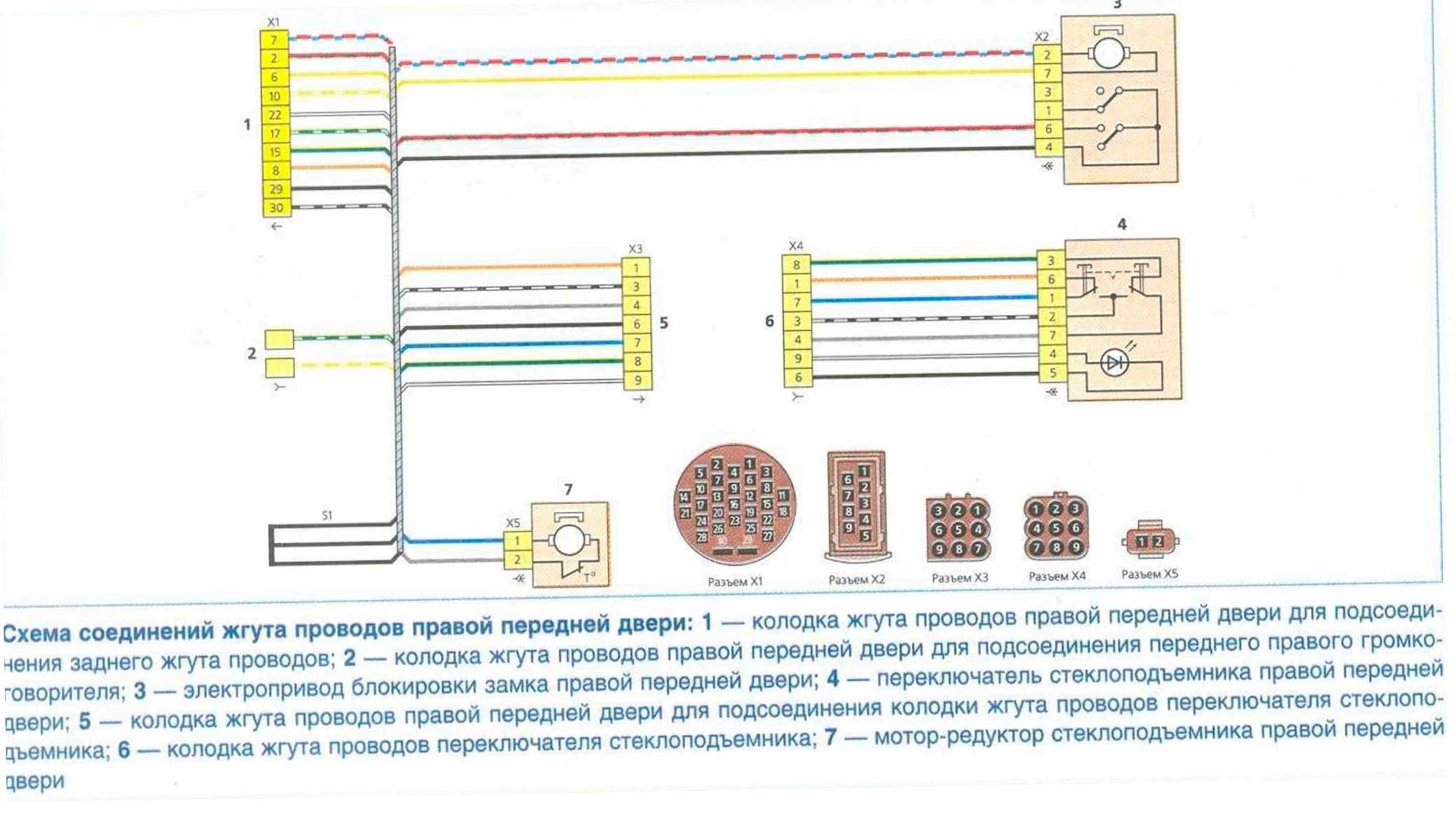 Калина