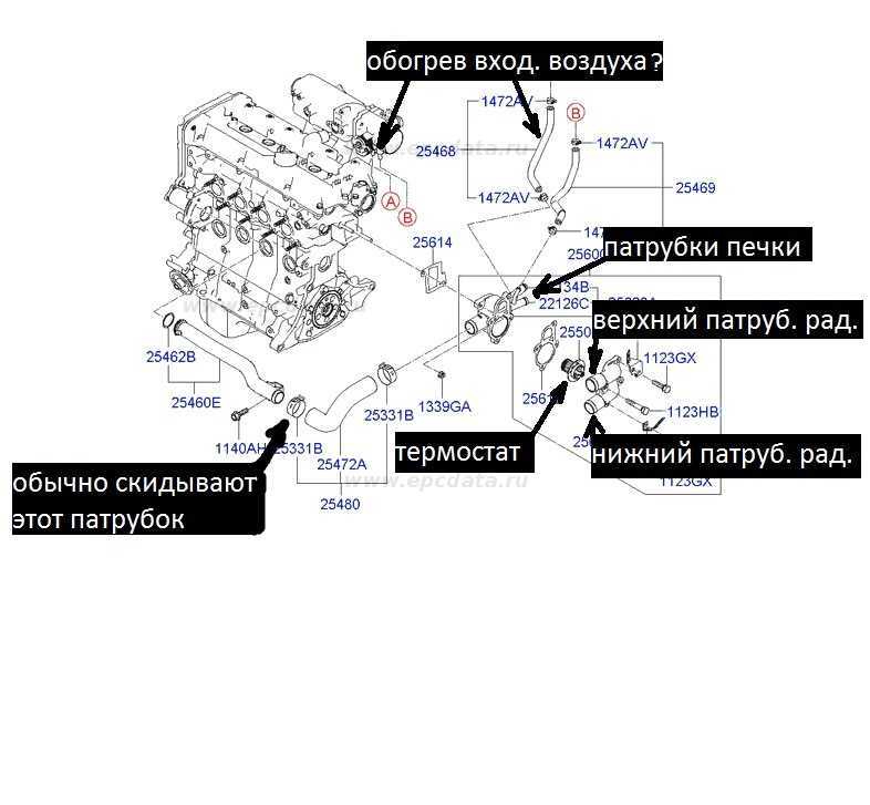 Система охлаждения акцент тагаз 16 клапанов объем