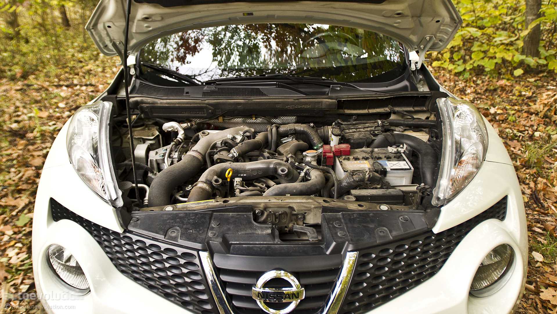 Что значит dualis nissan: особенности и характеристики