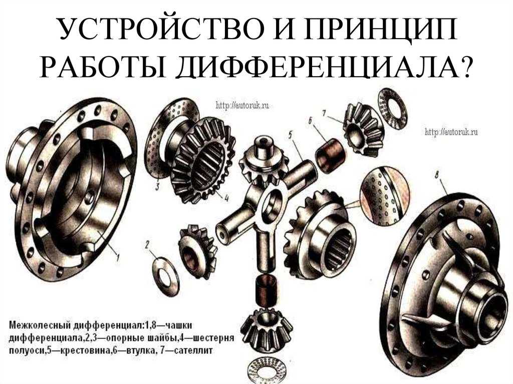 Крутящийся диск для талии упражнения. что такое диск здоровья и в чем его польза