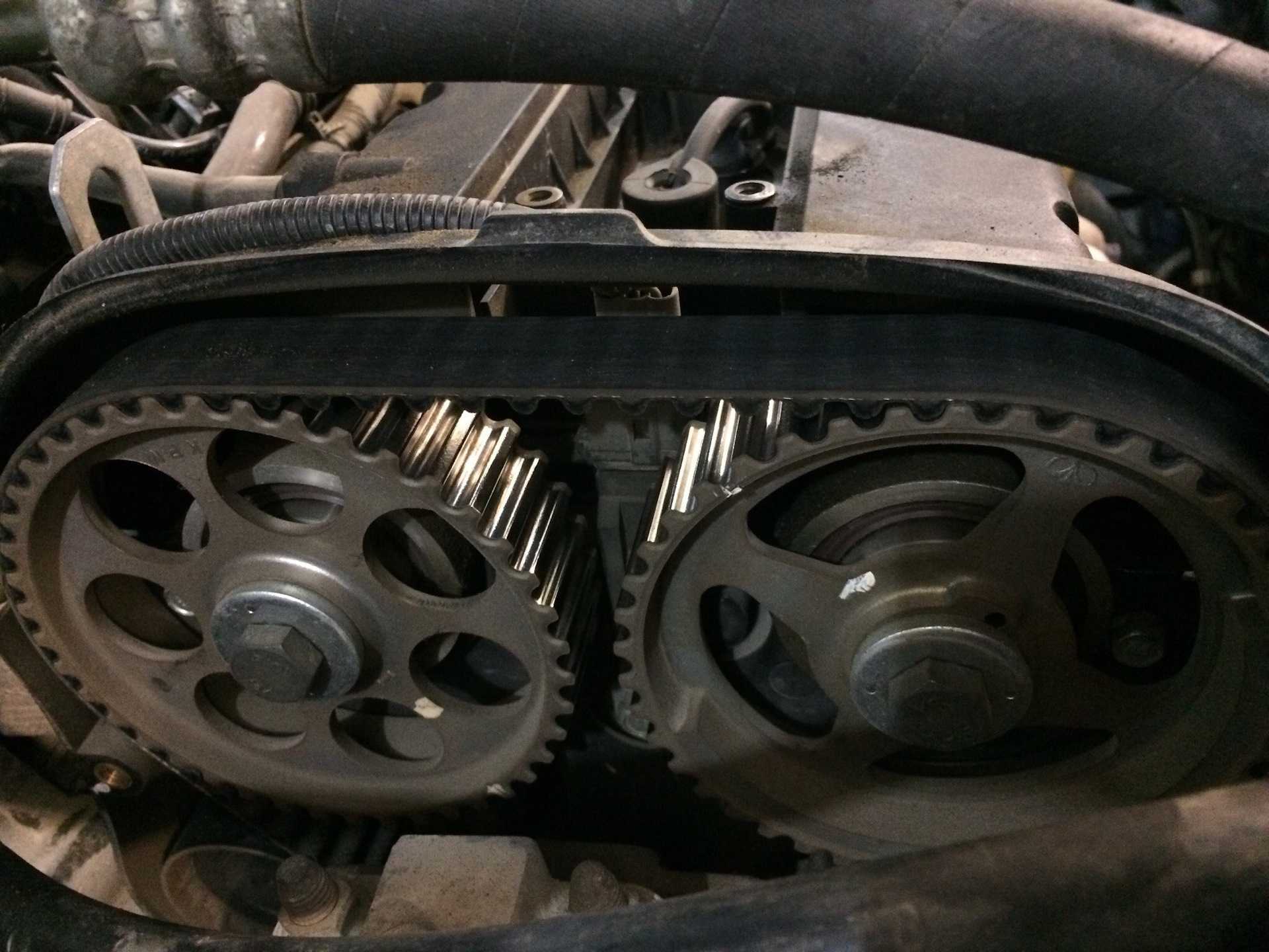 Процедура замены ремня грм на chevrolet aveo 1,4 литра 16 клапанов с фото и видео