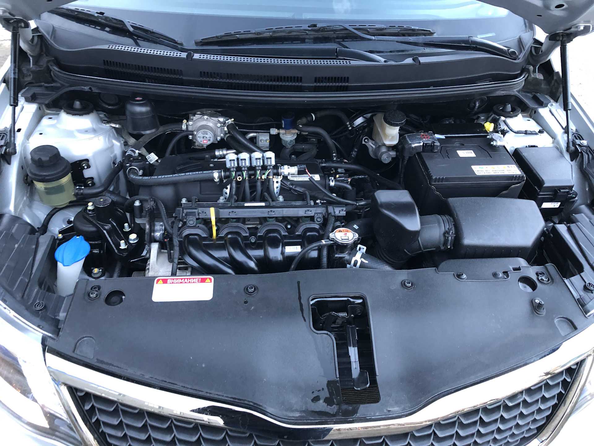 Двигатель kia rio a5d, технические характеристики, какое масло лить, ремонт двигателя a5d, доработки и тюнинг, схема устройства, рекомендации по обслуживанию