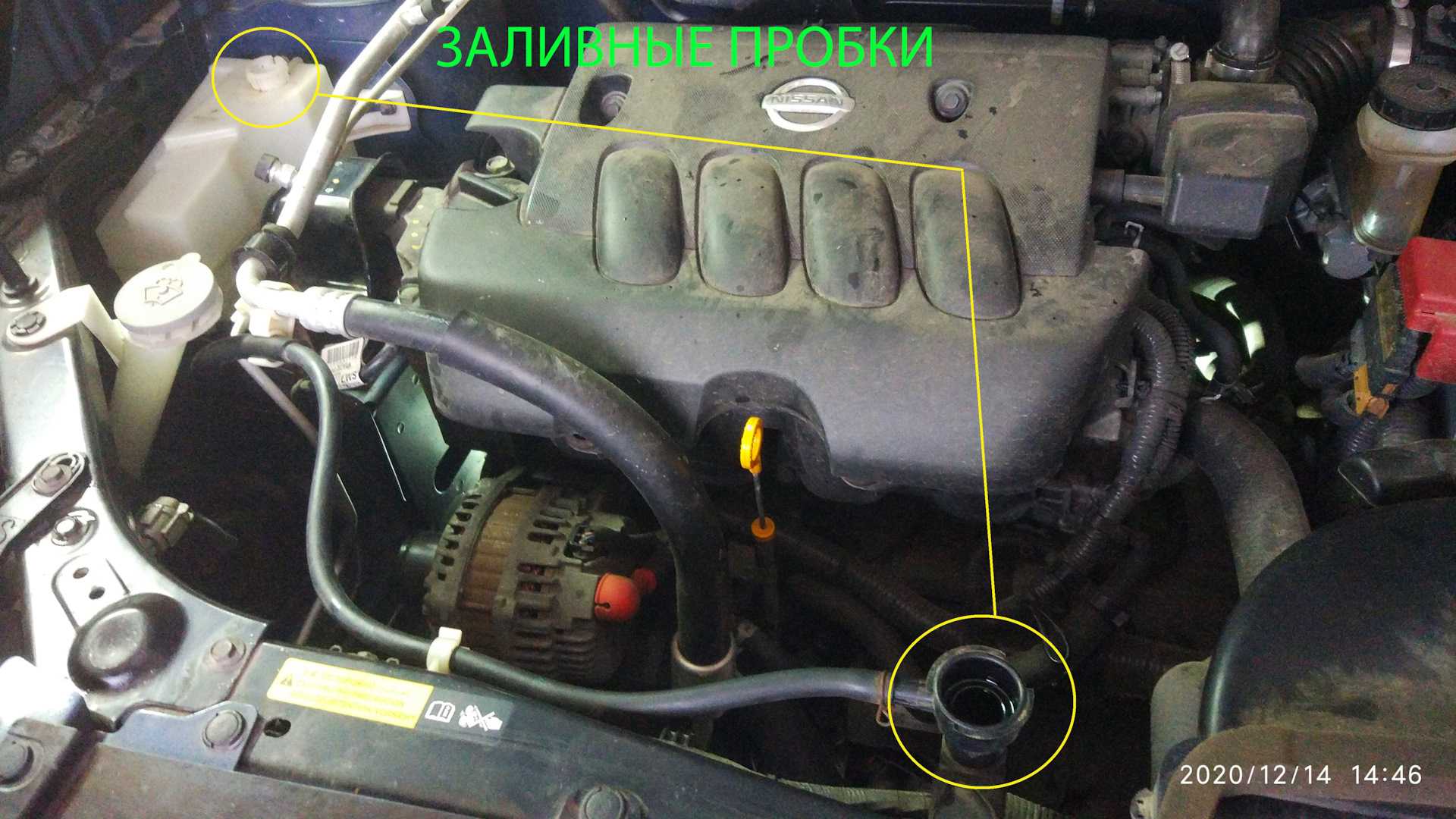 Какой антифриз лучше выбрать для nissan x-trail t31?