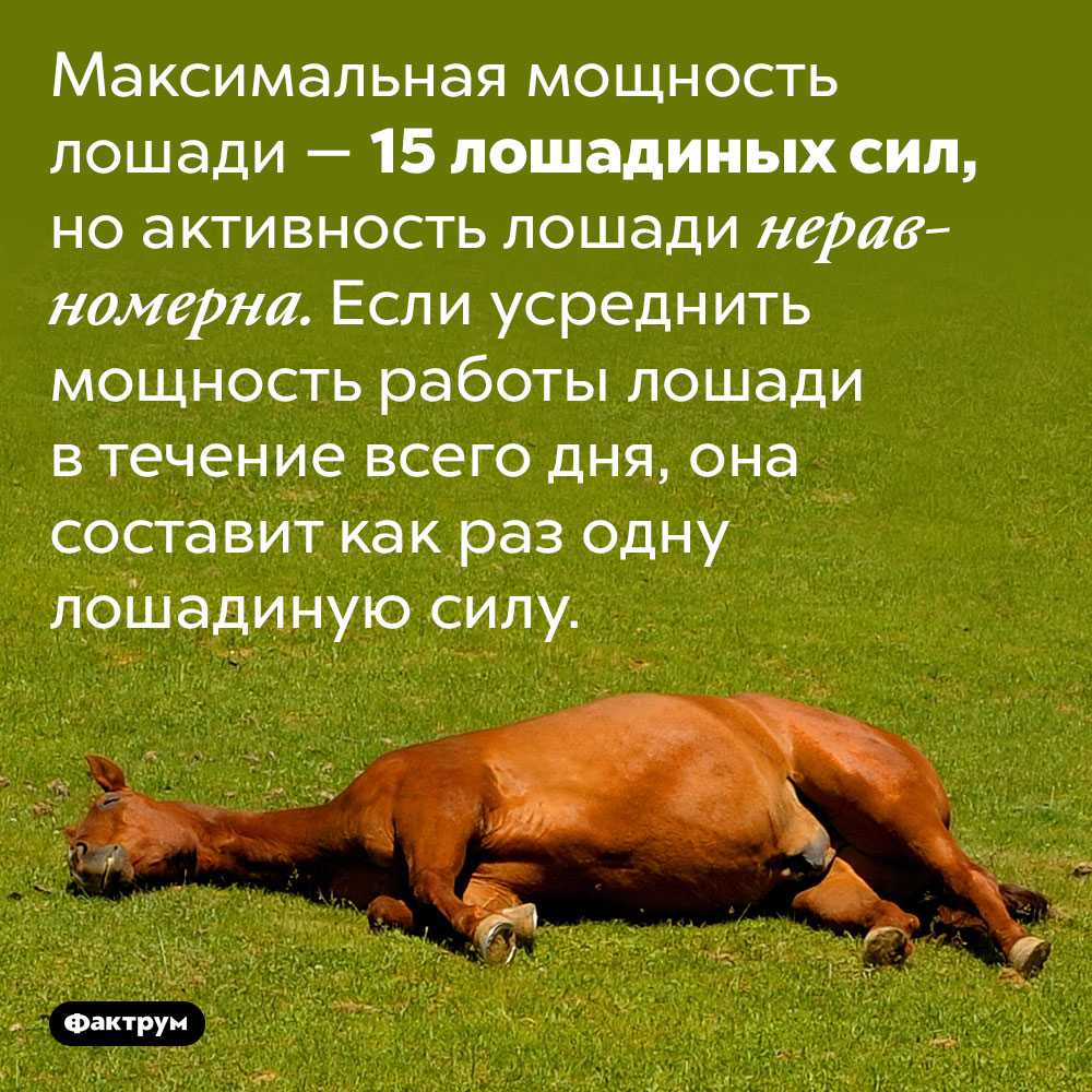 Что такое лошадиные силы и как они рассчитываются? – avtotachki