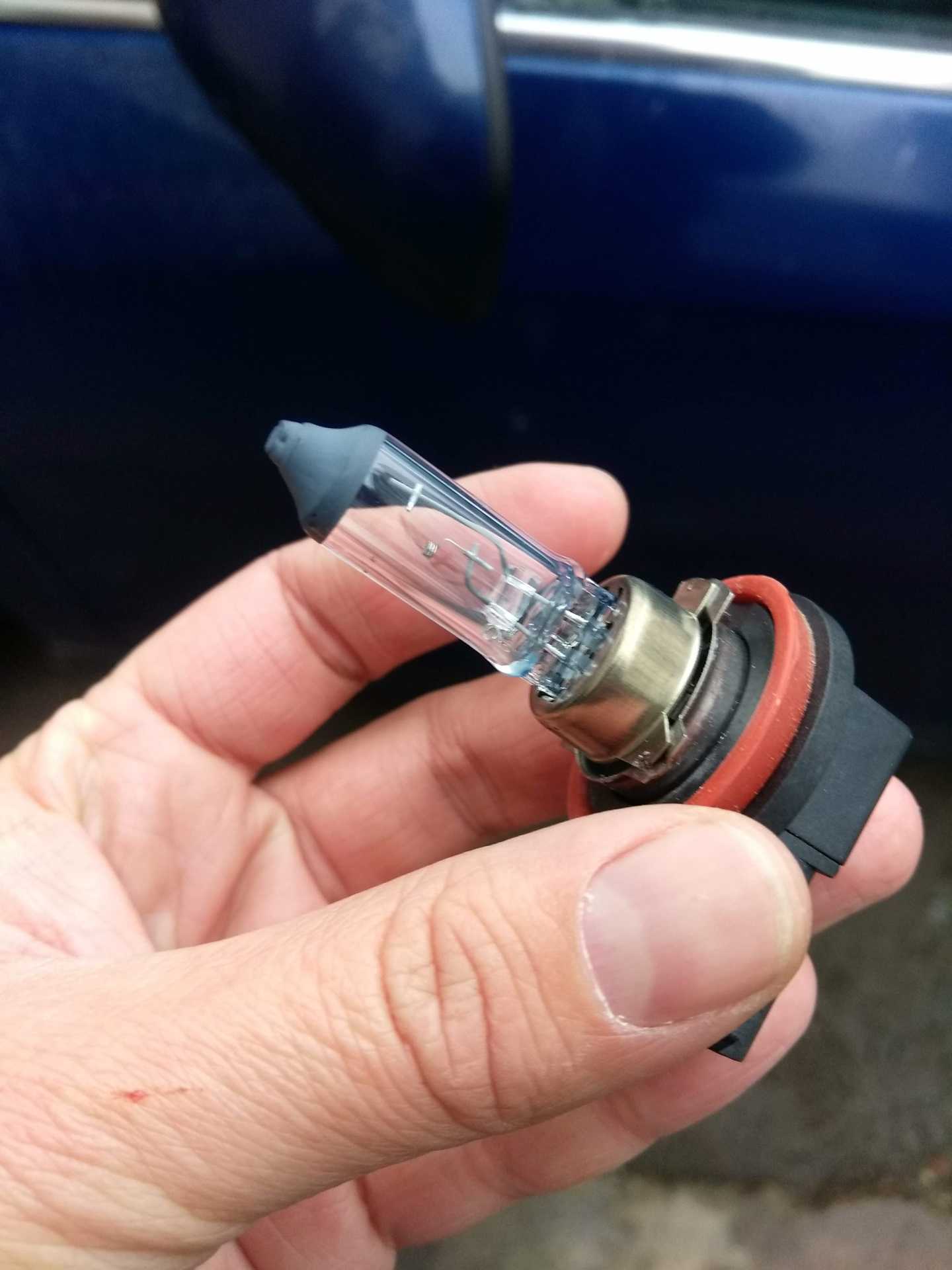 Какие лампы в фарах ниссан альмера g15? подбор и продажа ламп ближнего света nissan almera g15